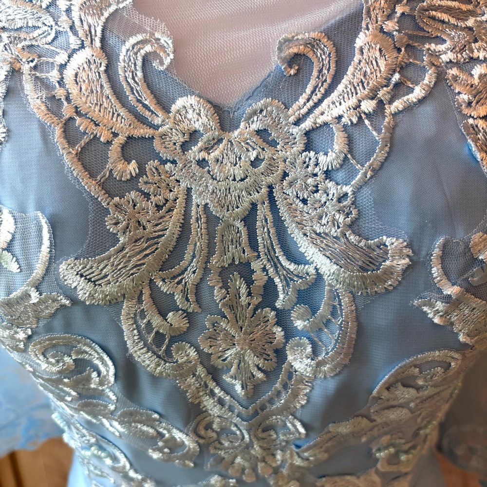NEW, Blue Dress, Mother of the Bride, Gender Reveal, Chiffon, NWOT, Size L/14 - Picture 7 of 13